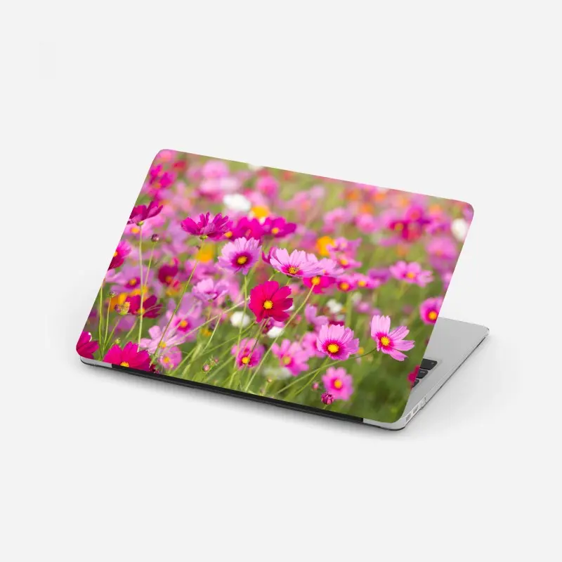 Laptop-Aufkleber rosa kosmeenwiese in blüte