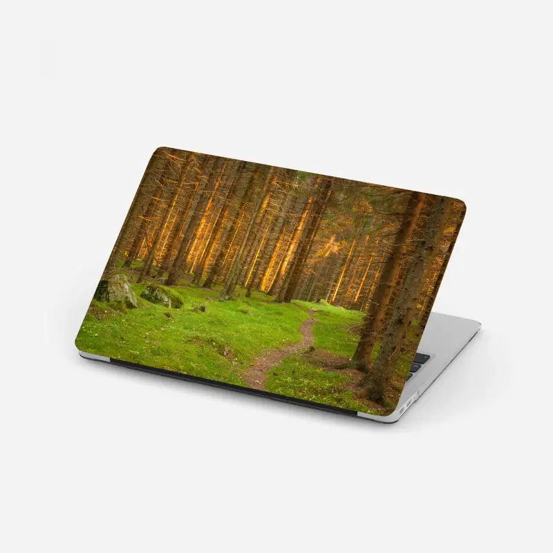 Laptop-Aufkleber goldenes licht im moosbedeckten kiefernwald