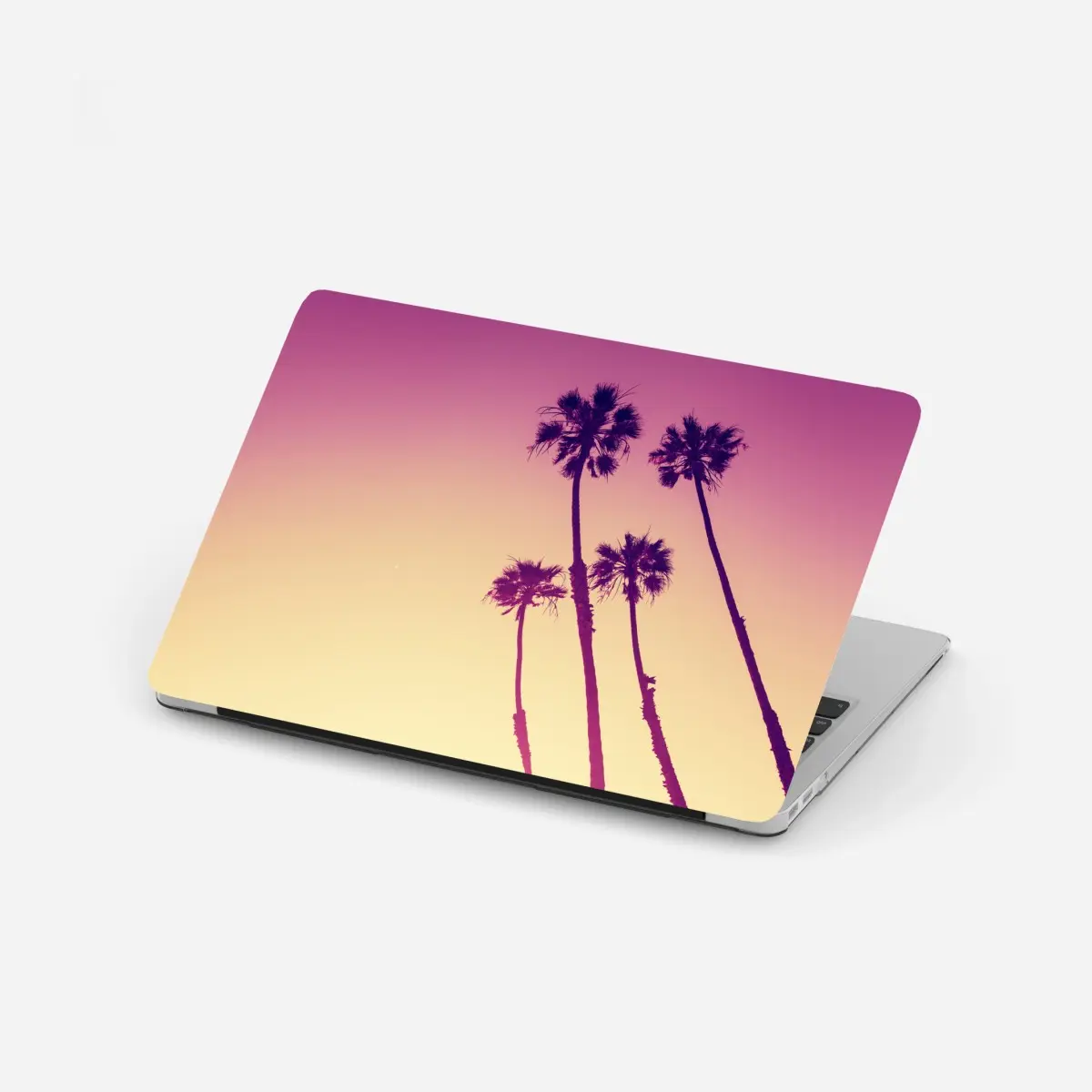 Laptop-Aufkleber kalifornische palmen bei Sunset Cliffs – Pixers®