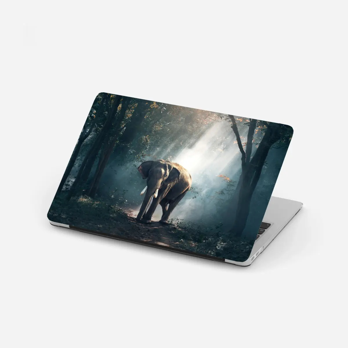 Laptop-Aufkleber majestätischer elefant im sonnenlichtdurchfluteten wald – Pixers®