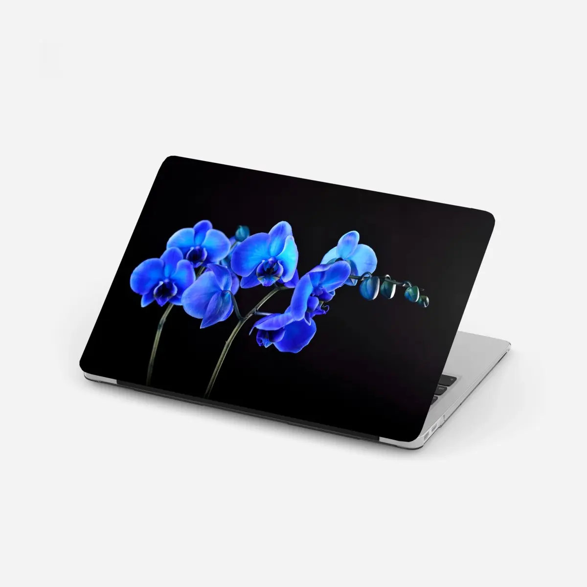 Laptop-Aufkleber leuchtende blaue orchidee vor schwarzem hintergrund – Pixers®