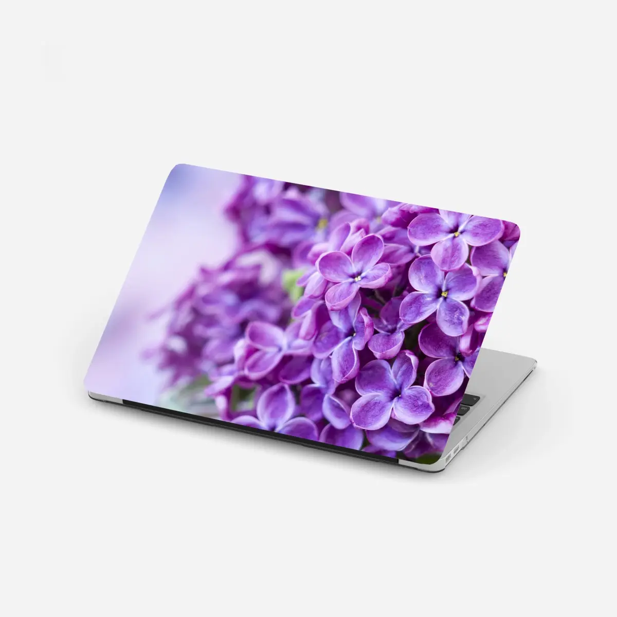 Laptop-Aufkleber lila fliederblüten nahaufnahme – Pixers®
