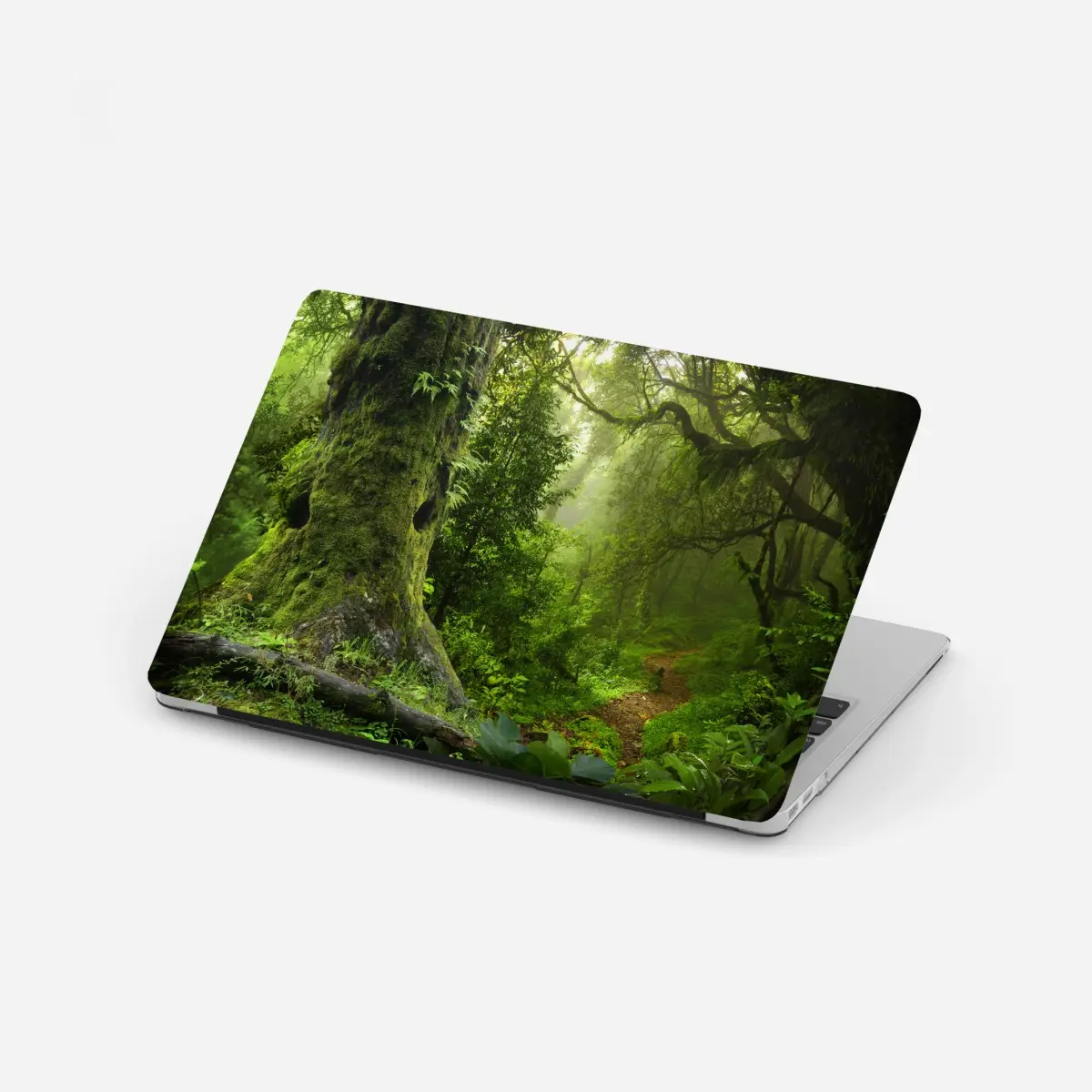 Laptop-Aufkleber moosiger alter waldpfad – Pixers®