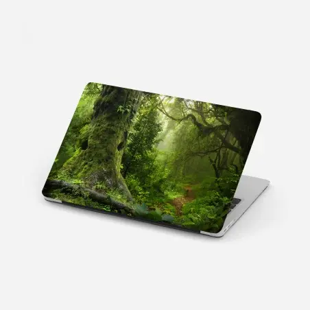 Laptop-Aufkleber moosiger alter waldpfad – Pixers®