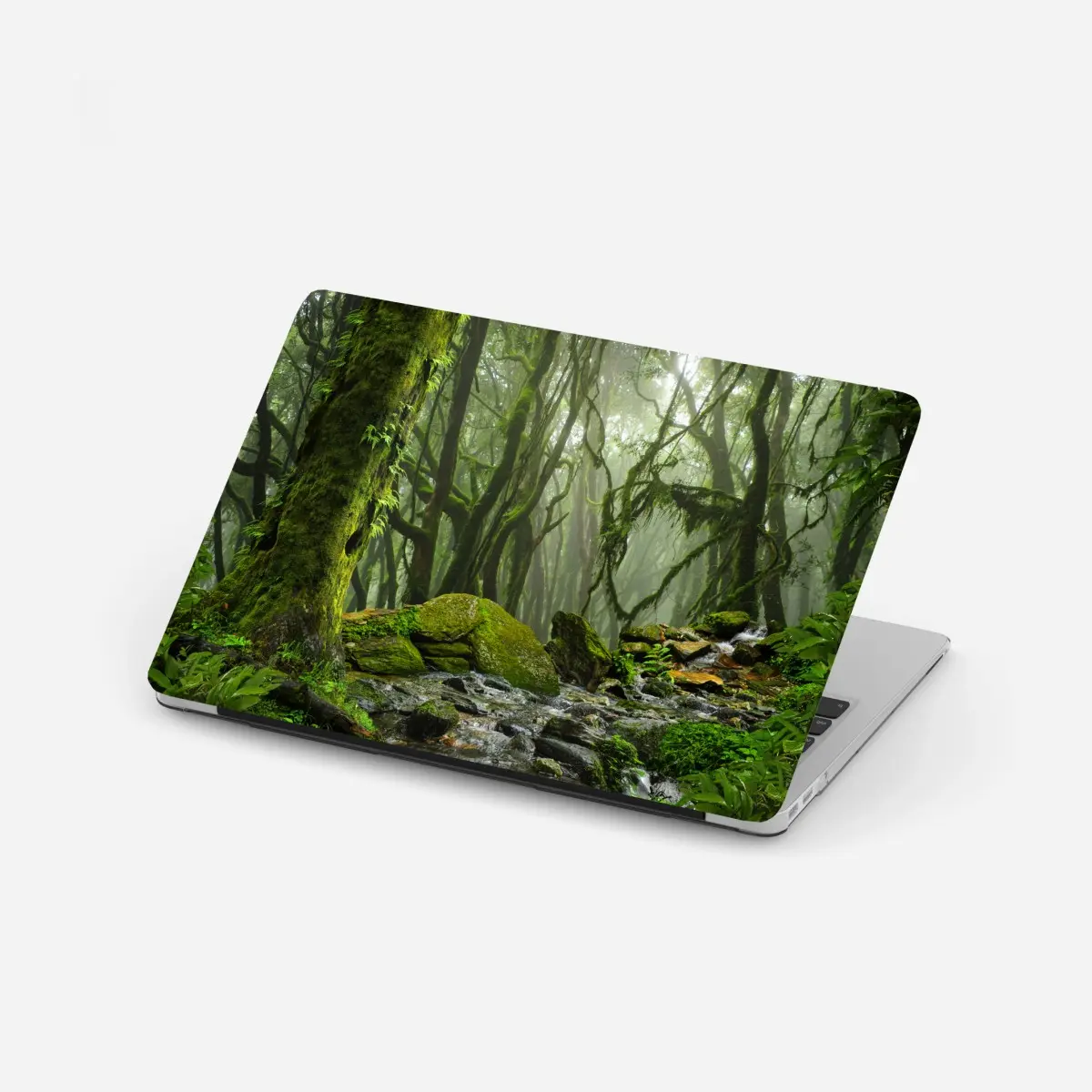 Laptop-Aufkleber moosiger wald mit bach im nebel – Pixers®