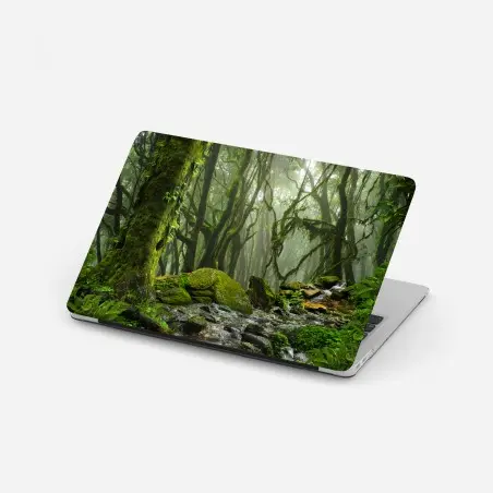 Laptop-Aufkleber moosiger wald mit bach im nebel – Pixers®