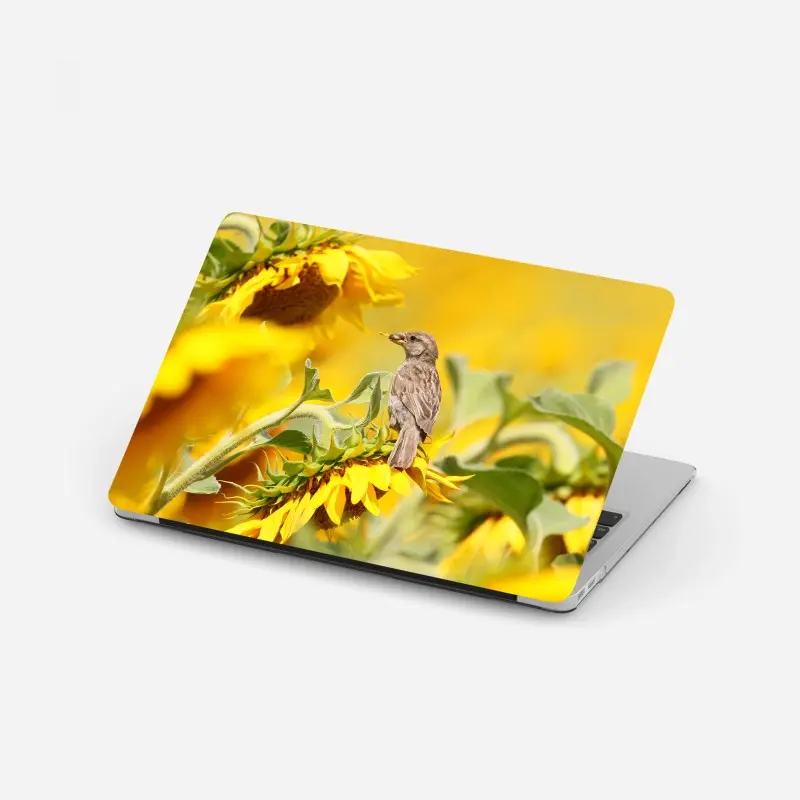 Laptop-Aufkleber spatz auf einer sonnenblume