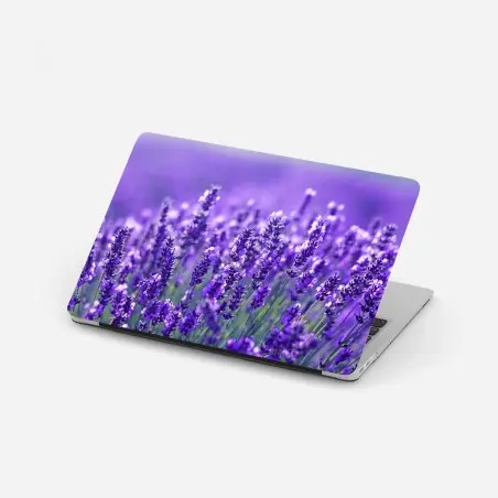 Laptop-Aufkleber lavendelfeld nahaufnahme – Pixers®