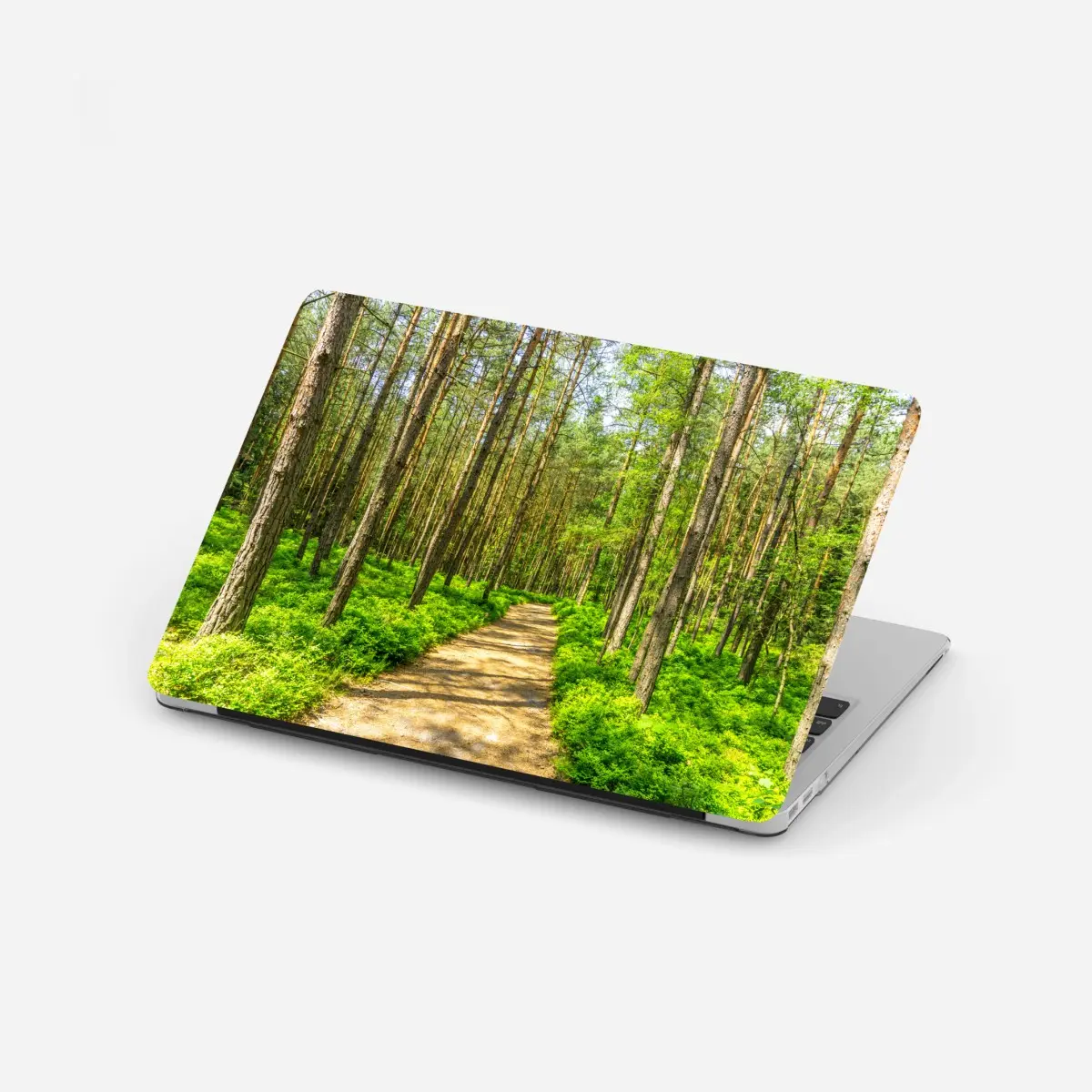 Laptop-Aufkleber sonniger waldweg zwischen kiefern – Pixers®