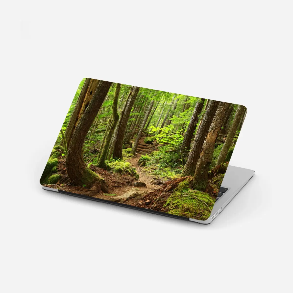 Laptop-Aufkleber moosiger waldpfad – Pixers®