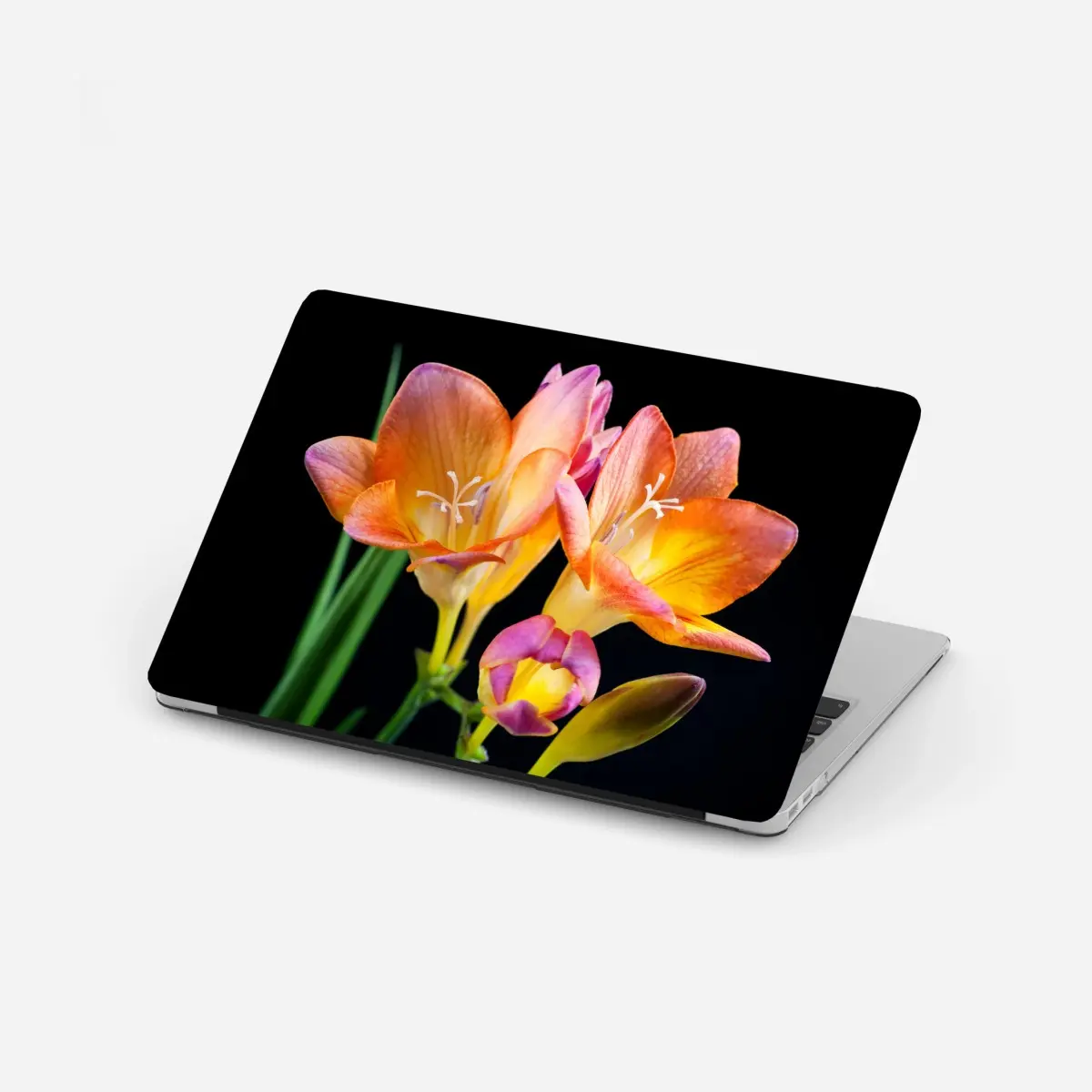 Laptop-Aufkleber leuchtende orange freesien vor schwarzem hintergrund – Pixers®