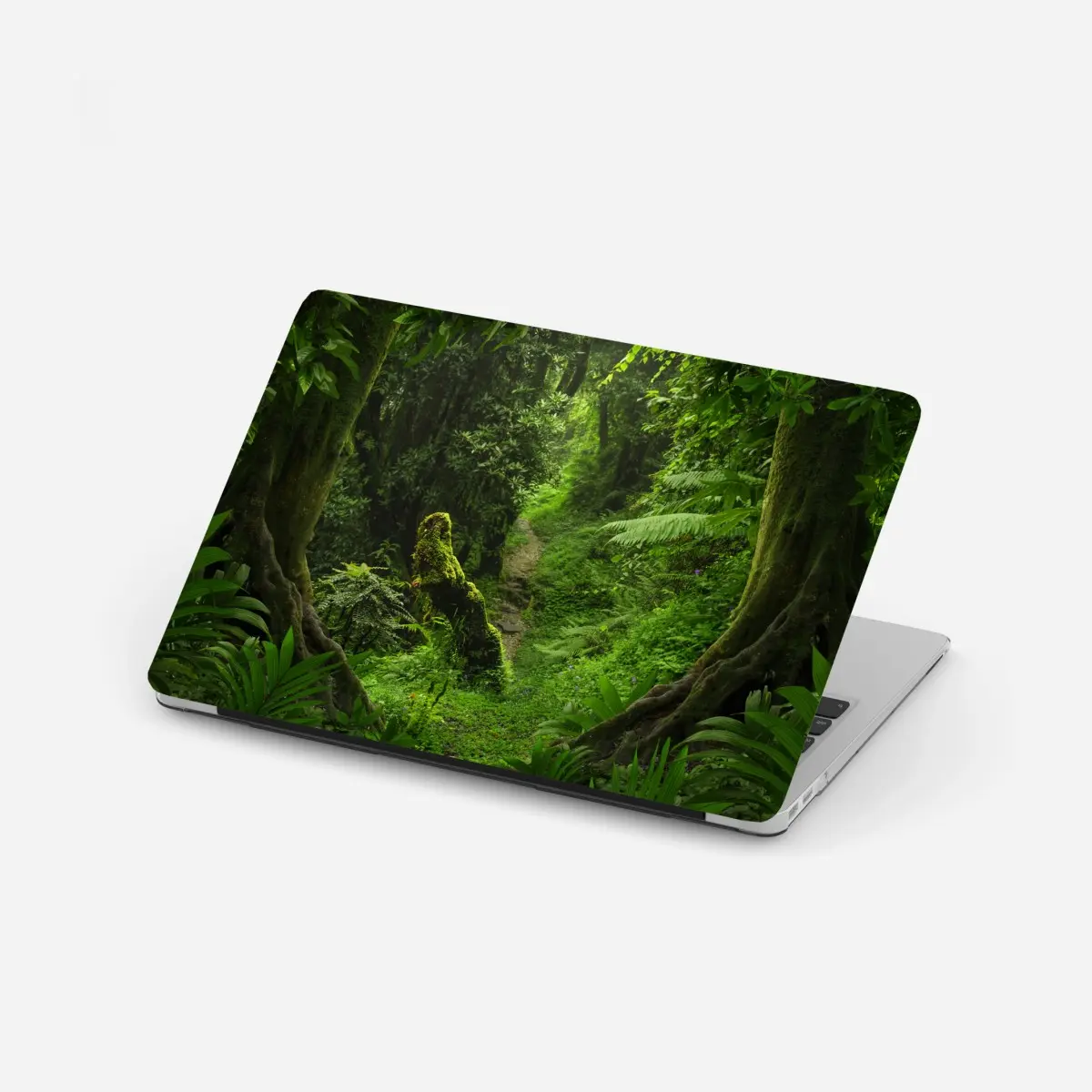 Laptop-Aufkleber verzauberter moosiger waldpfad – Pixers®