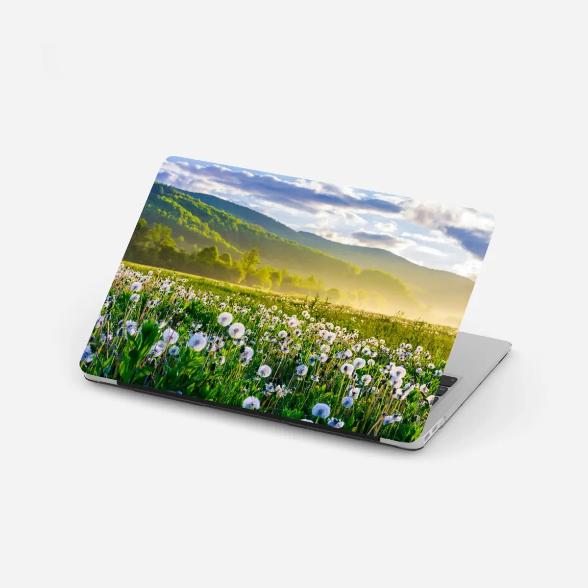 Laptop-Aufkleber neblige löwenzahnwiese im sonnenaufgang – Pixers®