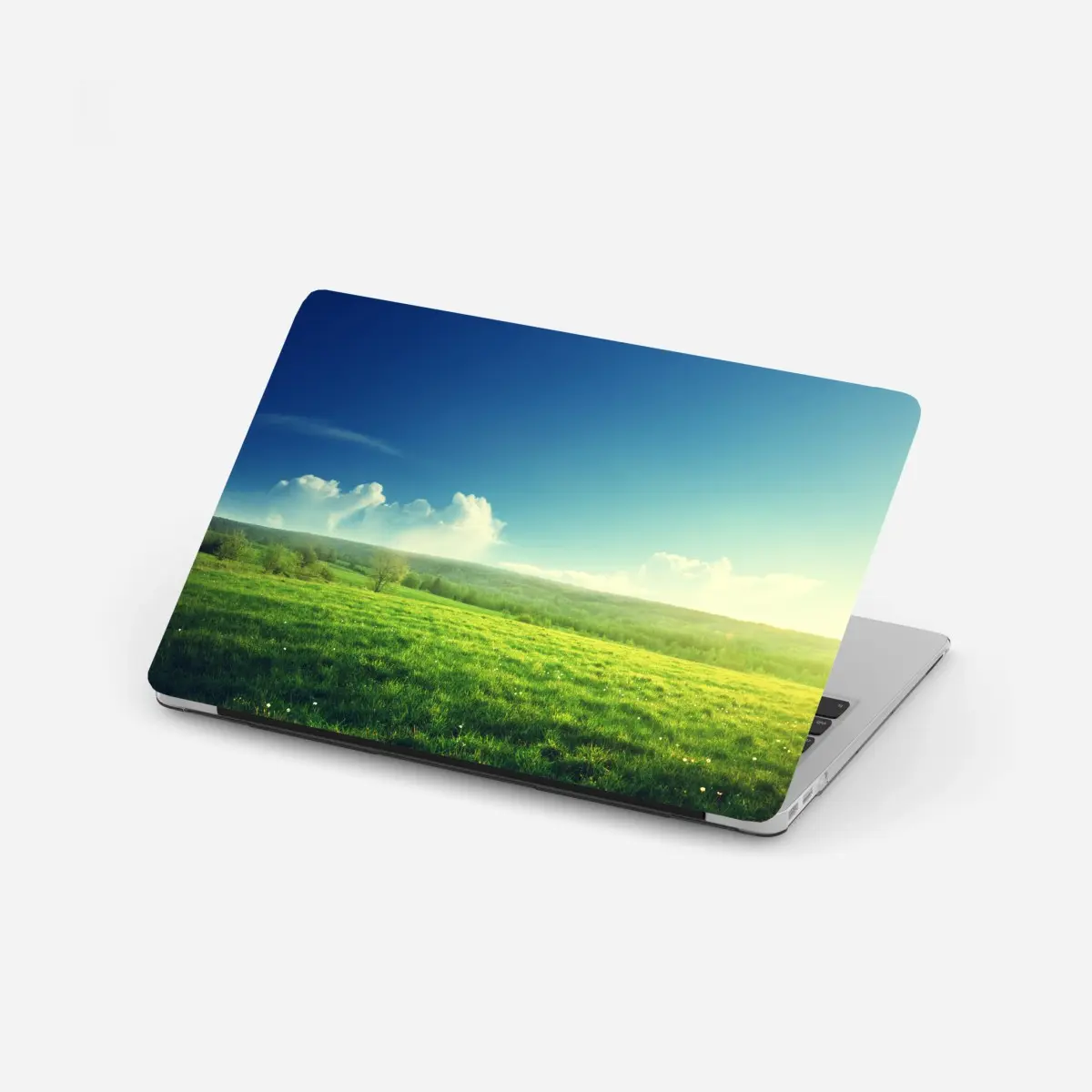 Laptop-Aufkleber sonnige frühlingswiese im abendlicht – Pixers®
