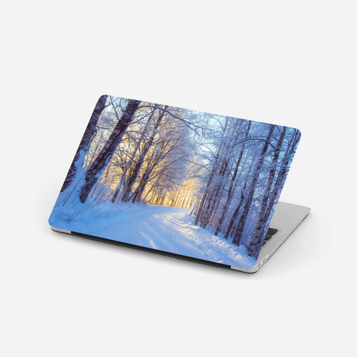 Laptop-Aufkleber birkenwald im winter bei sonnenaufgang – Pixers®