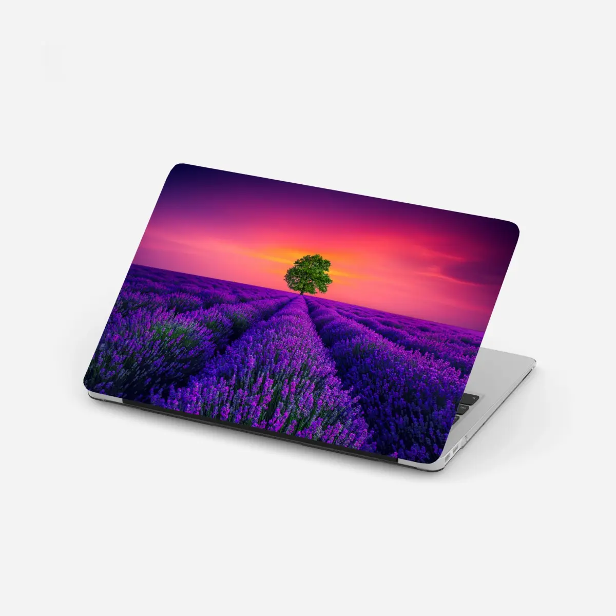 Laptop-Aufkleber lavendelfeld bei sonnenuntergang mit einsamem baum – Pixers®