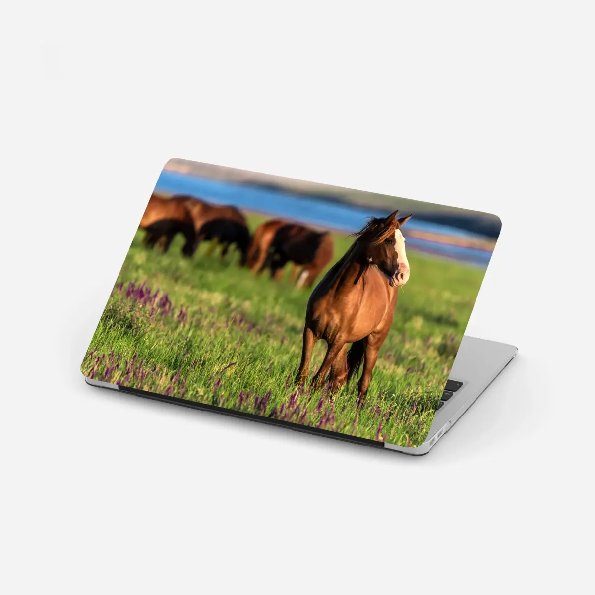 Laptop-Aufkleber majestätisches braunes pferd auf einer sonnenbeschienenen wiese – Pixers®