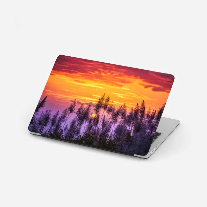 Laptop-Aufkleber goldener sonnenuntergang über wildgräsern