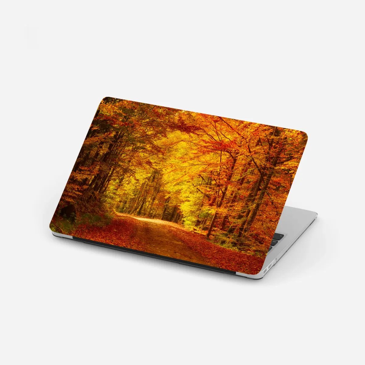Laptop-Aufkleber goldener herbstwaldweg – Pixers®