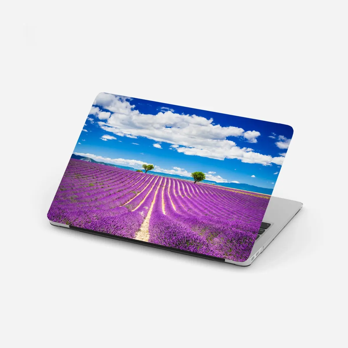 Laptop-Aufkleber lavendelfelder in Provence – Pixers®