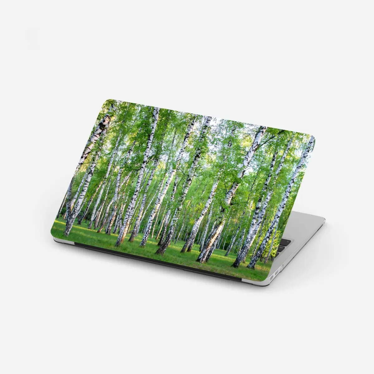 Laptop-Aufkleber ruhiger birkenhain im sommer – Pixers®