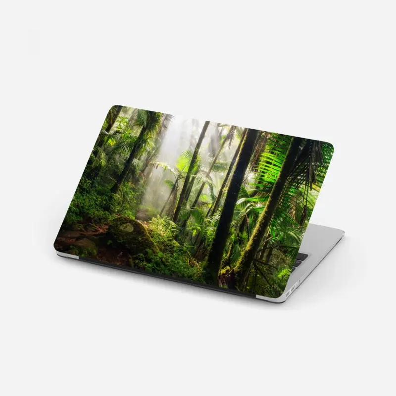 Laptop-Aufkleber tropischer regenwald mit sonnenstrahlen