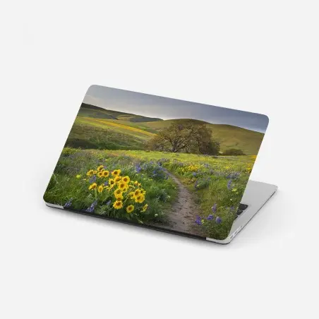 Laptop-Aufkleber pfad durch blumenwiese mit eichenbaum – Pixers®