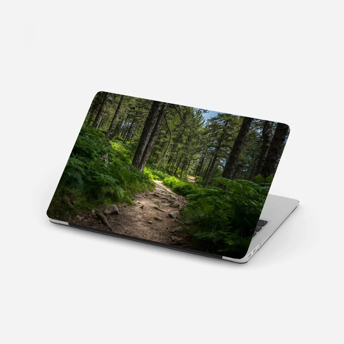 Laptop-Aufkleber ruhiger waldpfad durch üppiges grün – Pixers®