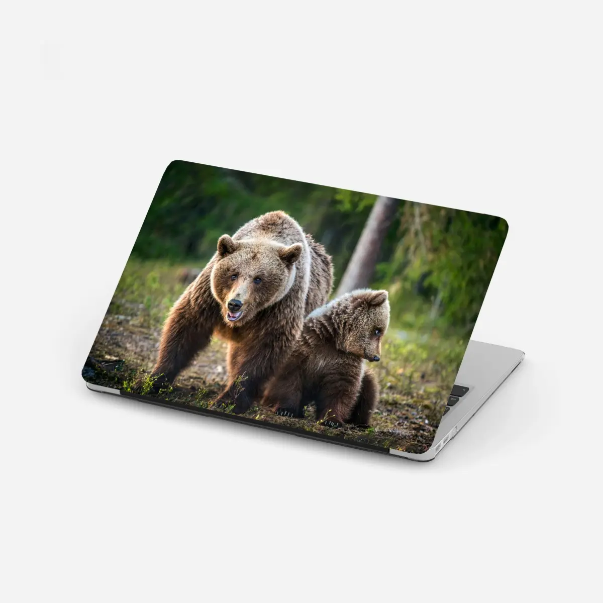 Laptop-Aufkleber braunbär mit jungem im wald – Pixers®