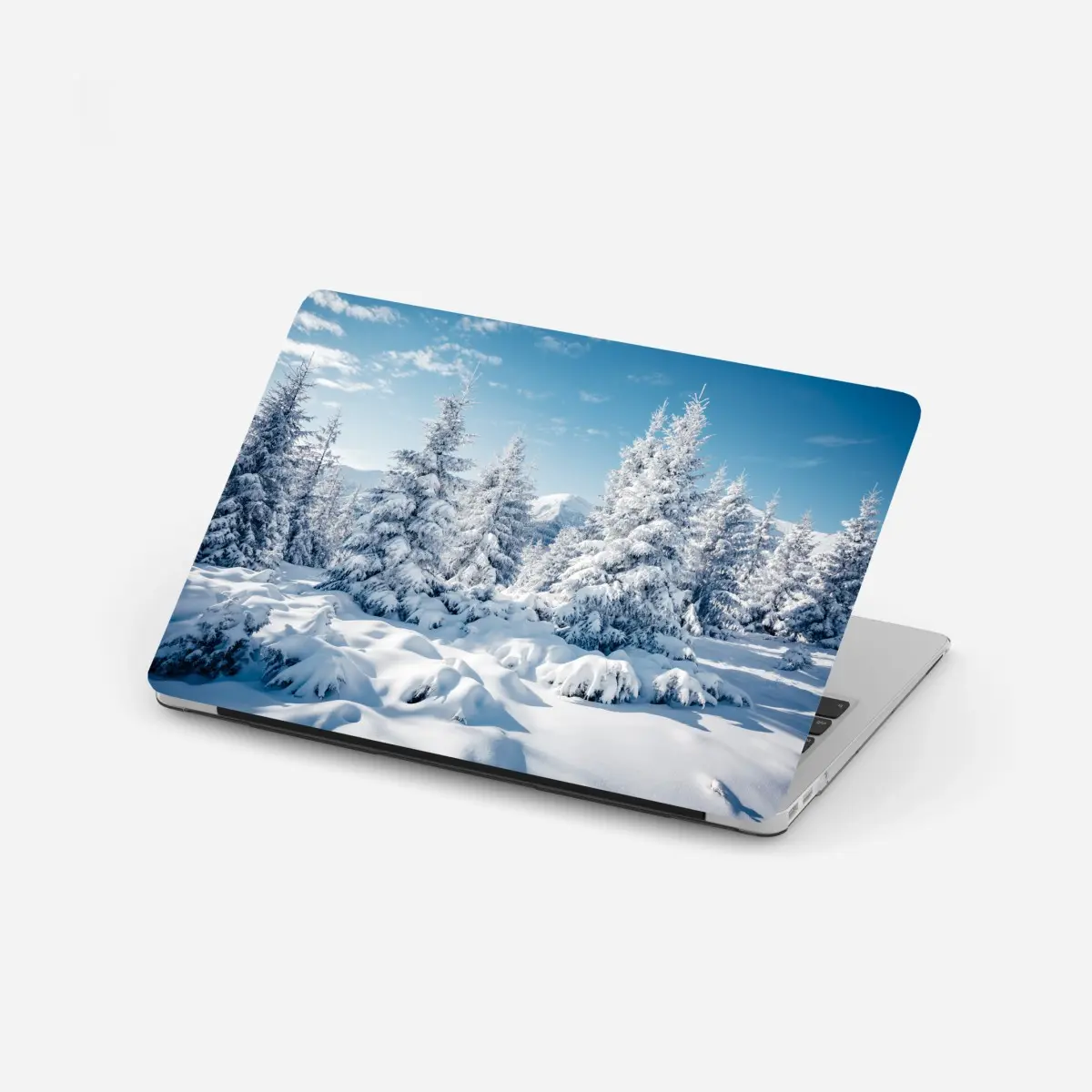 Laptop-Aufkleber winterruhe in den Karpaten – Pixers®