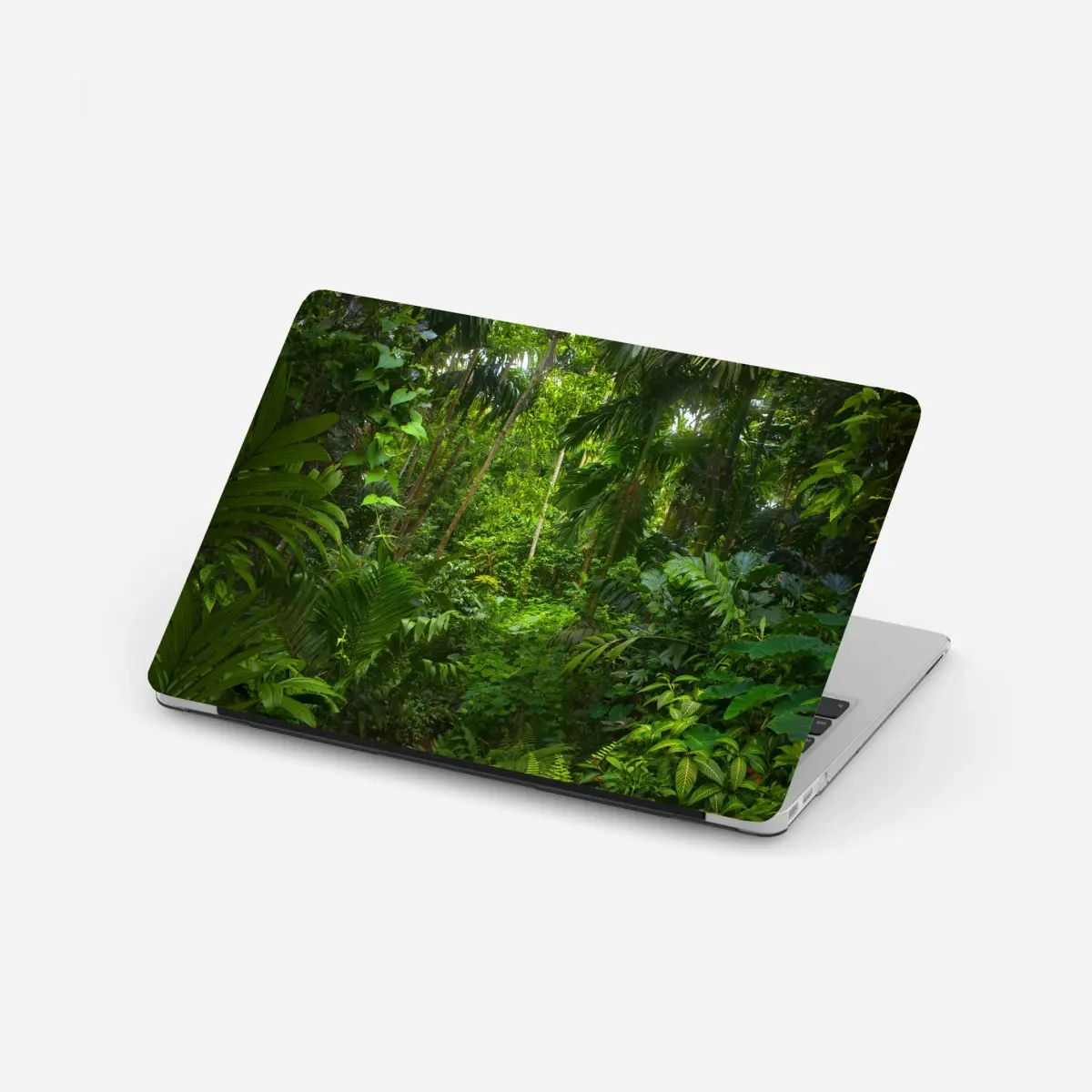 Laptop-Aufkleber üppiger tropischer dschungel – Pixers®