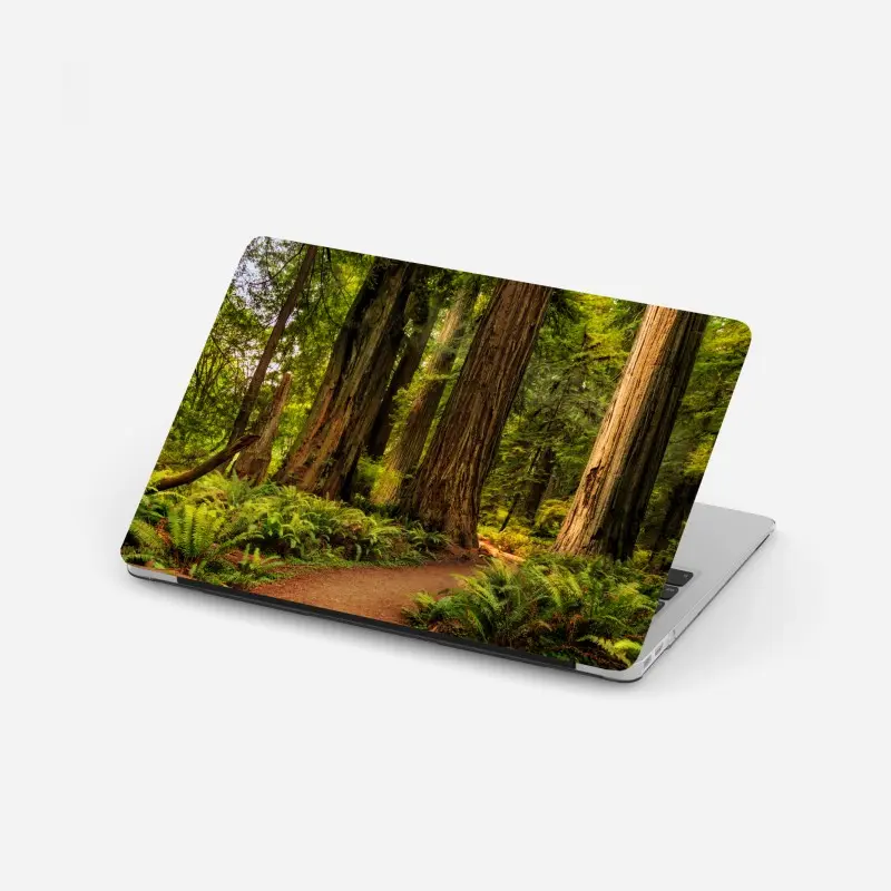 Laptop-Aufkleber Kalifornien mammutbäume waldweg