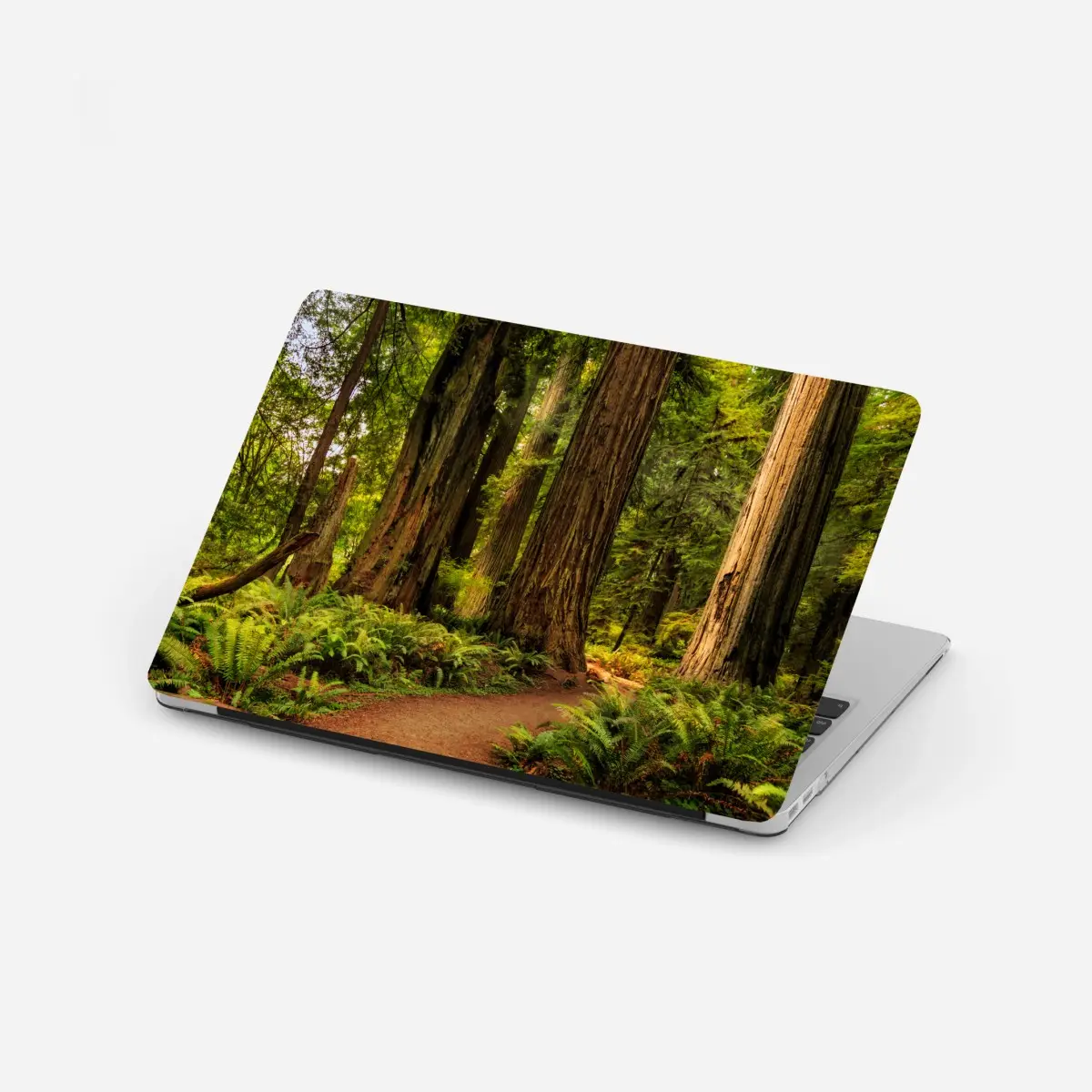 Laptop-Aufkleber Kalifornien mammutbäume waldweg – Pixers®