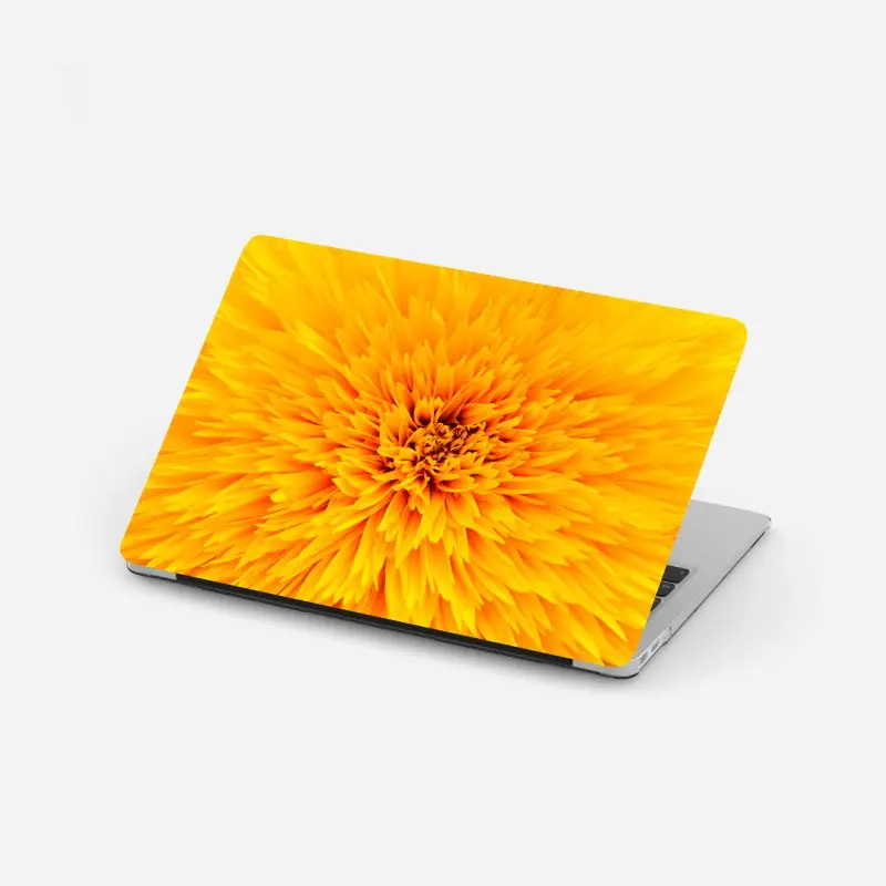 Laptop-Aufkleber strahlende sonnenblume nahaufnahme
