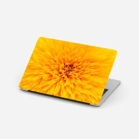 Laptop-Aufkleber strahlende sonnenblume nahaufnahme – Pixers®