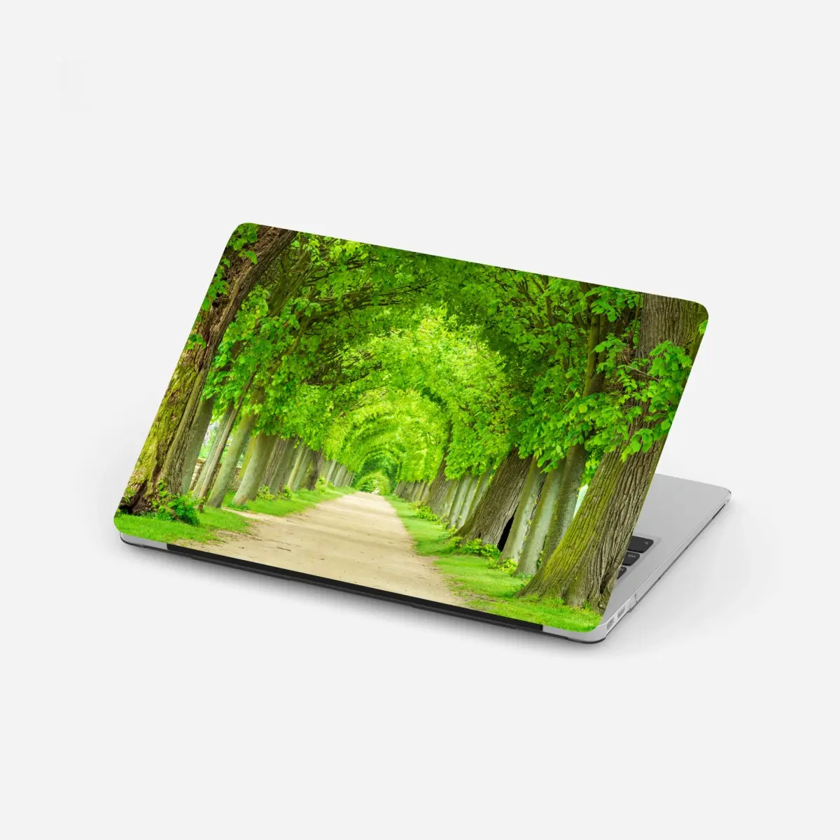 Laptop-Aufkleber grüner baumtunnel – Pixers®