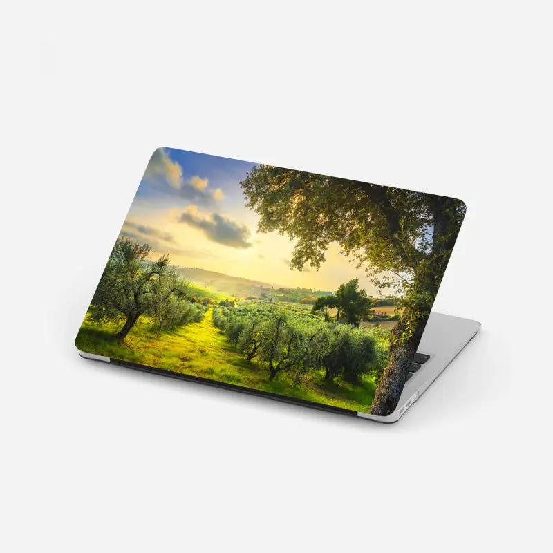 Laptop-Aufkleber olivenhain bei sonnenuntergang in Maremma, Toskana