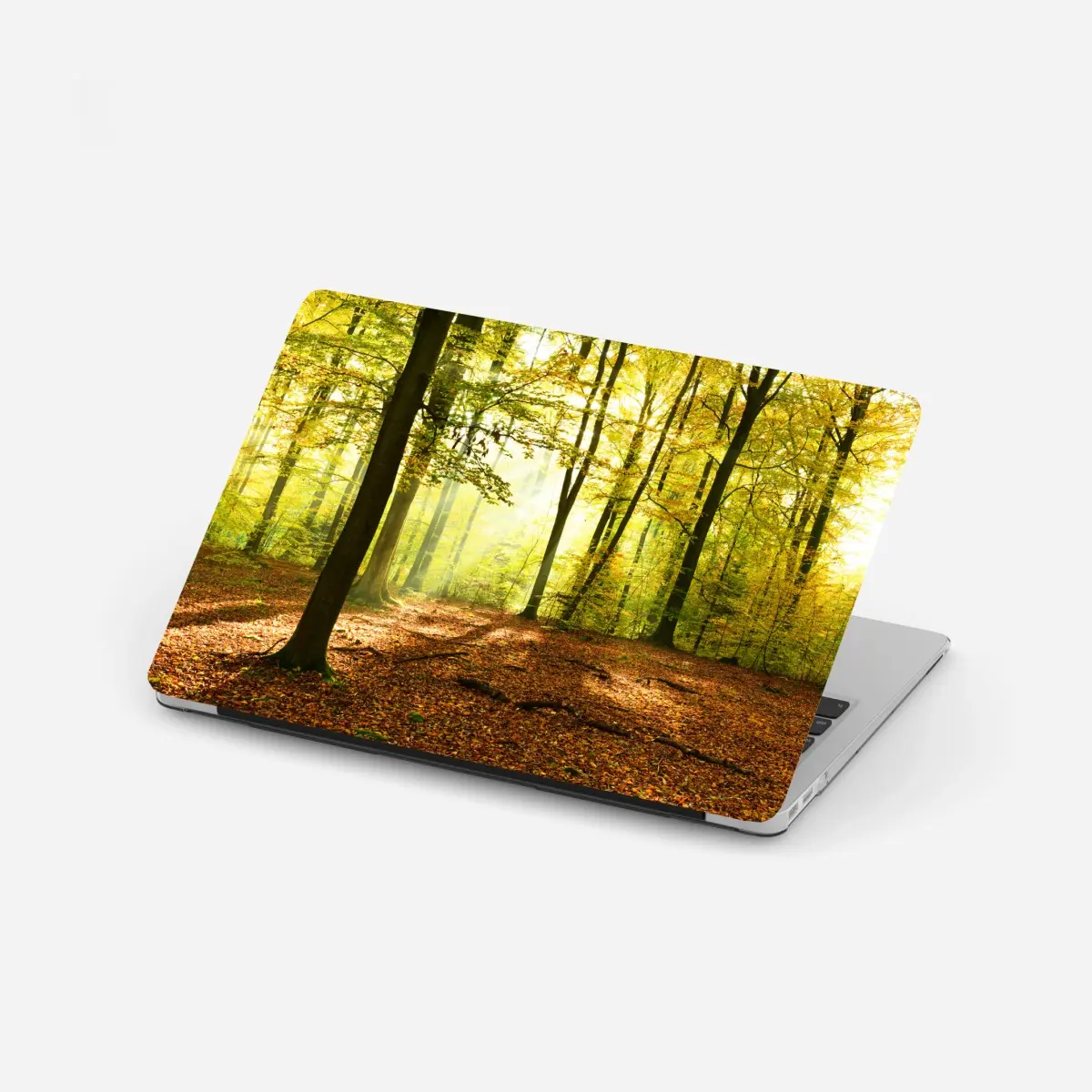 Laptop-Aufkleber goldener herbstwald am morgen – Pixers®