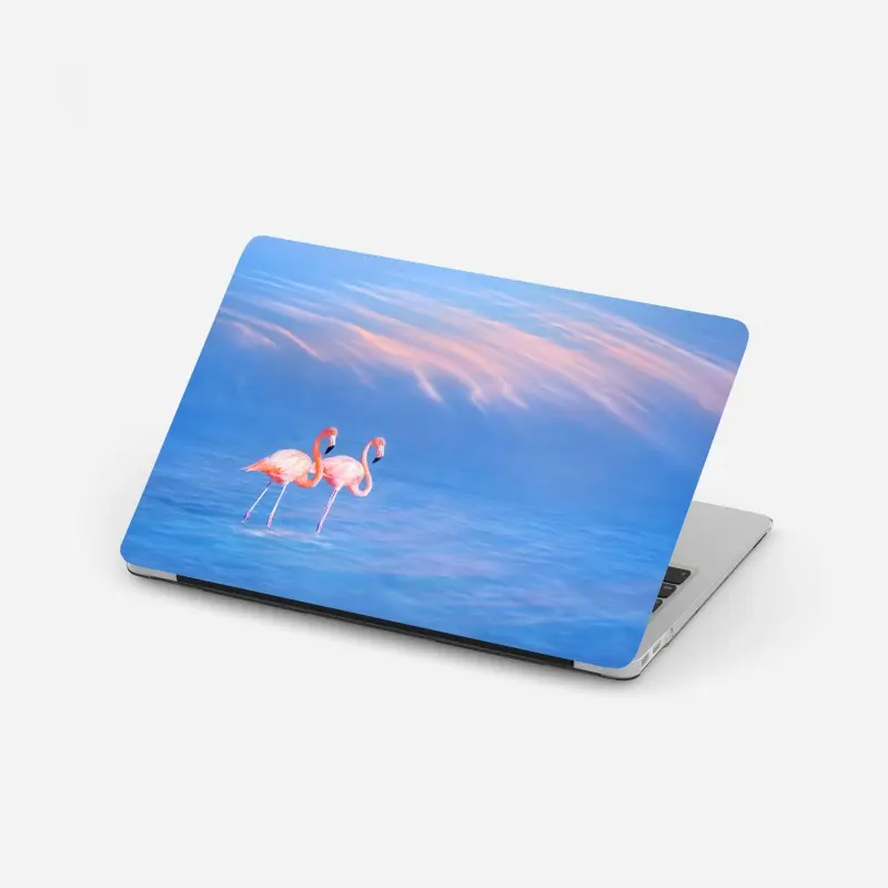 Laptop-Aufkleber rosa flamingos auf pastellfarbenem wasser