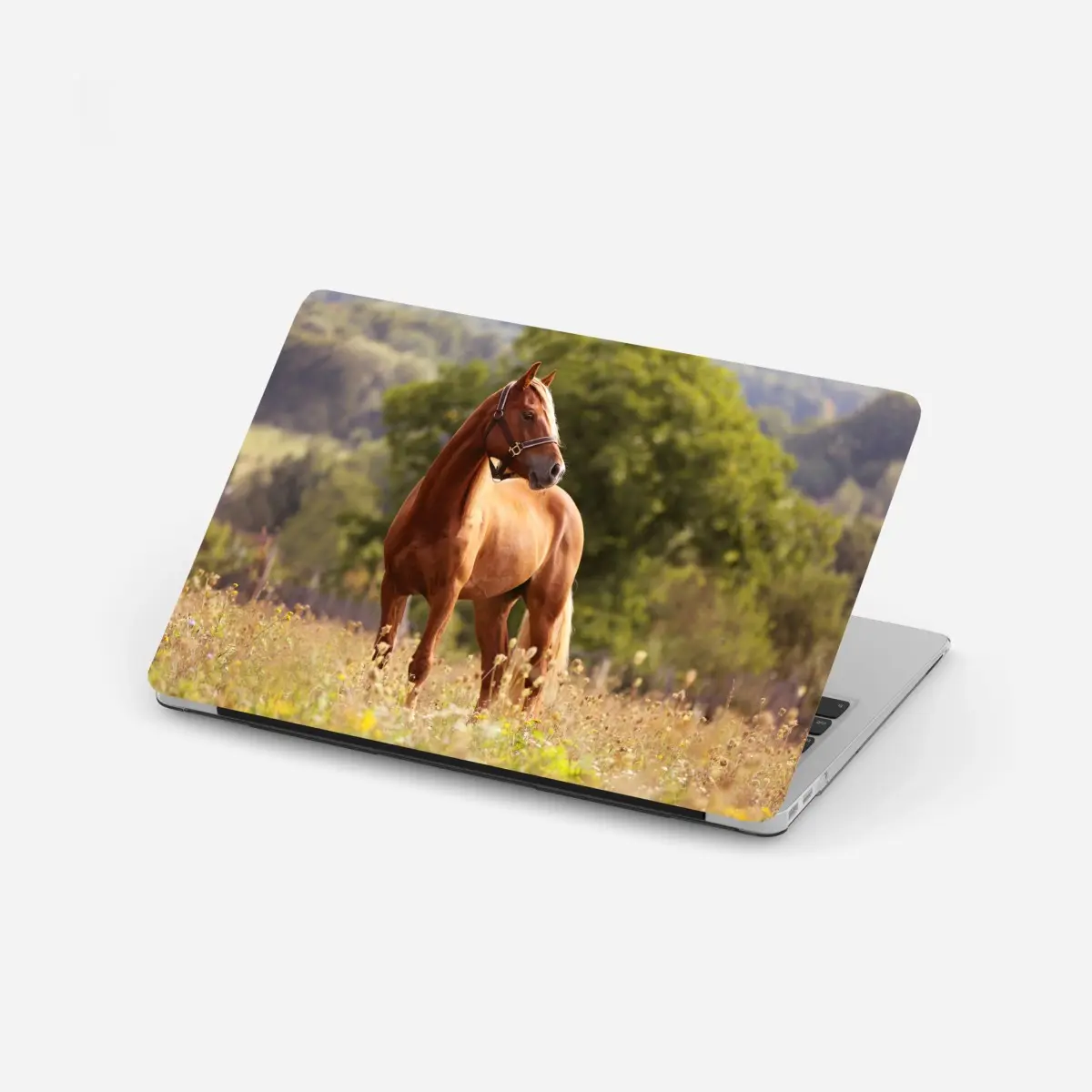 Laptop-Aufkleber majestätisches kastanienbraunes pferd auf sommerlicher wiese – Pixers®