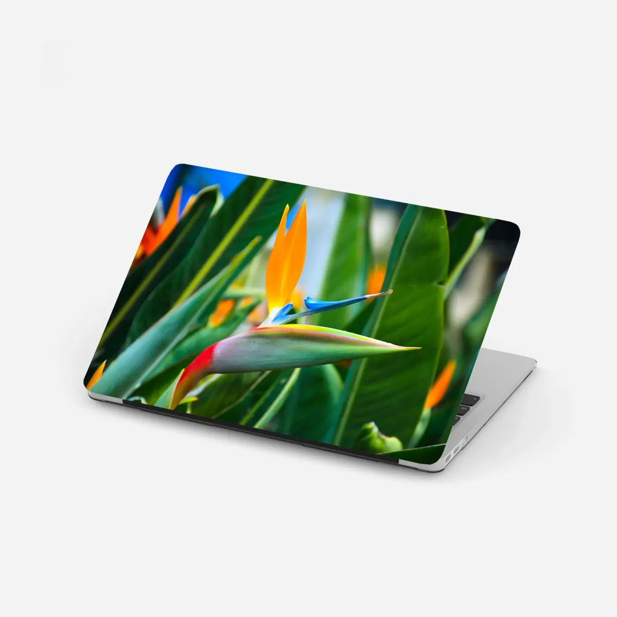 Laptop-Aufkleber leuchtende paradiesvogelblume – Pixers®
