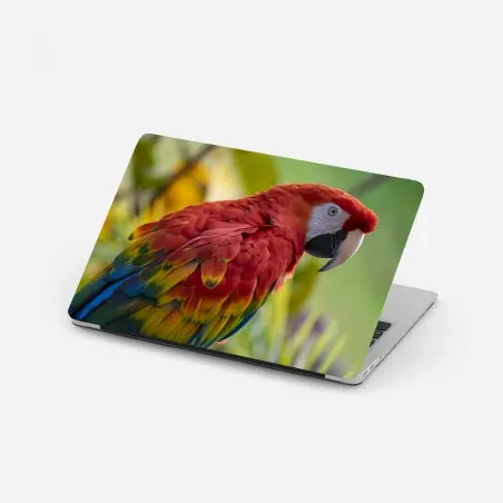 Laptop-Aufkleber intensives porträt einer scharlachara – Pixers®