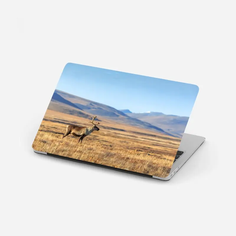Laptop-Aufkleber einsames rentier in der Tundra von Tschukotka