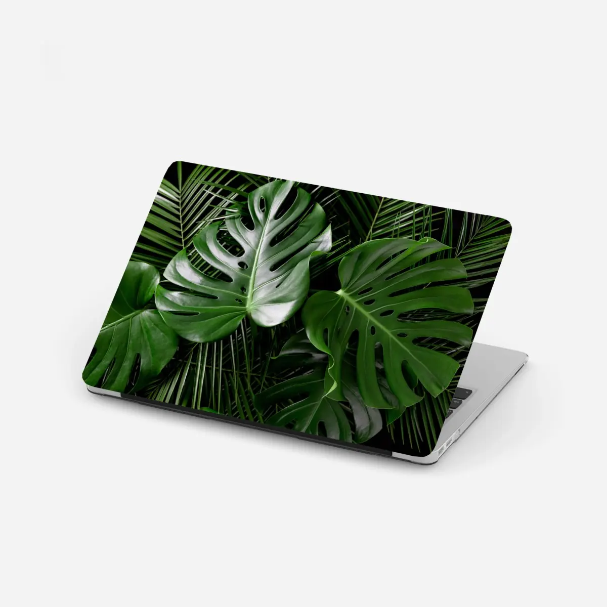 Laptop-Aufkleber üppige monstera-blätter – Pixers®