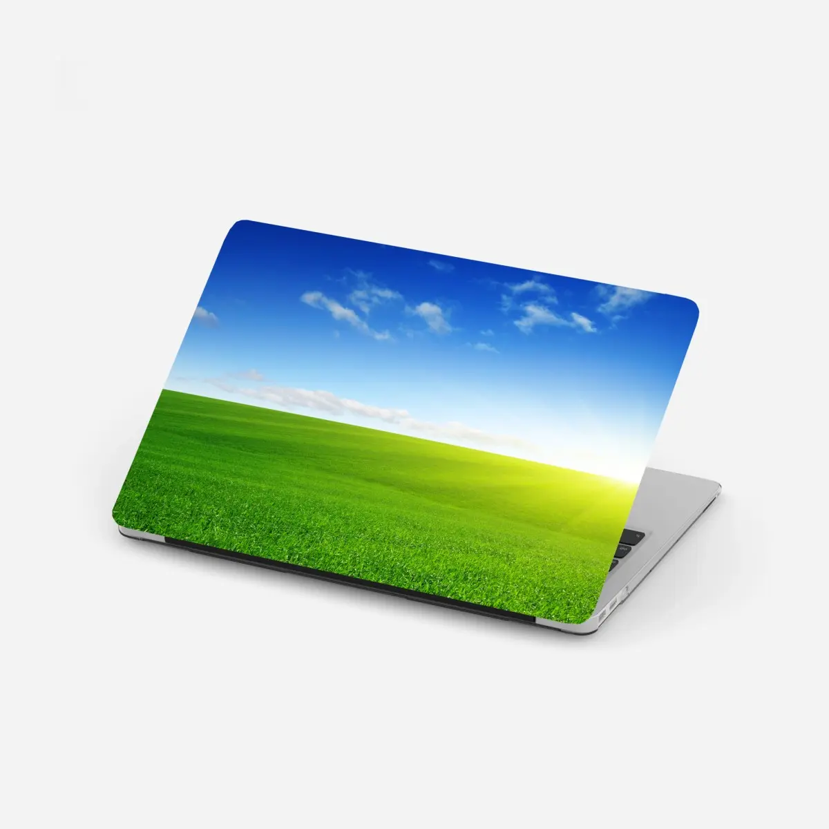 Laptop-Aufkleber sonnenbeschienene grüne wiese im morgenlicht – Pixers®
