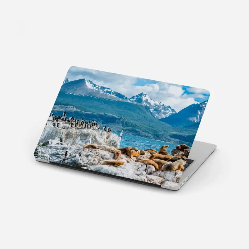 Laptop-Aufkleber seelöwen und seevögel an der felsküste