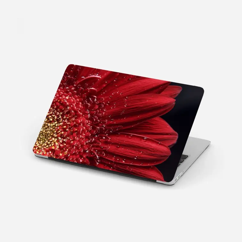 Laptop-Aufkleber rote gerbera makro mit wassertropfen