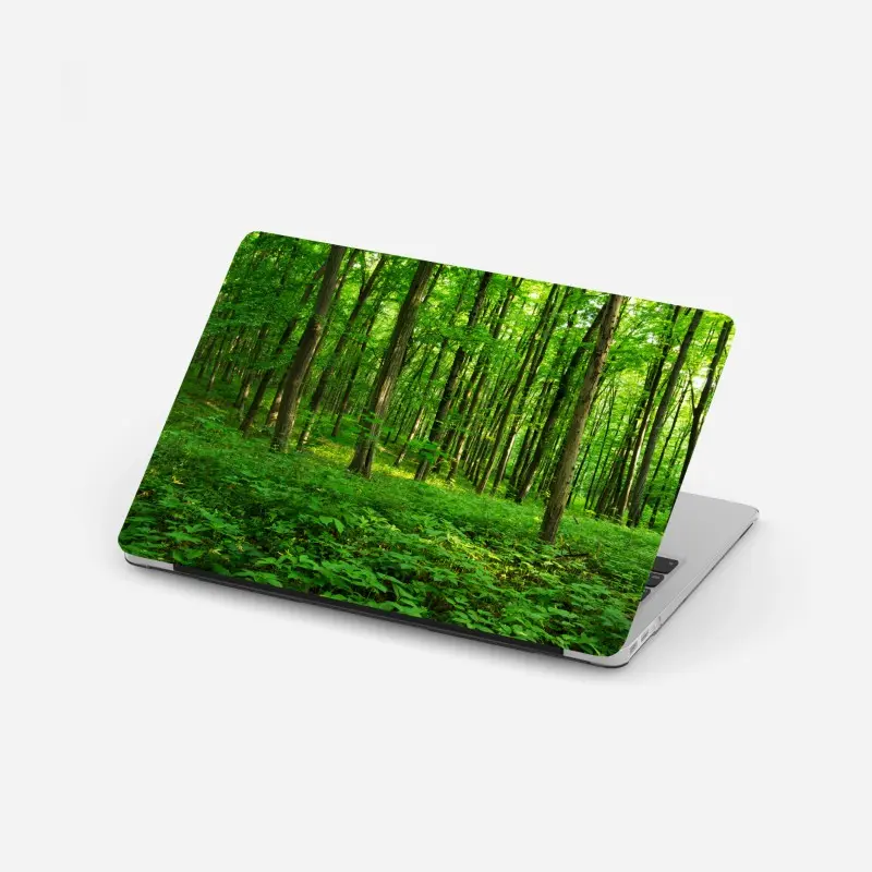 Laptop-Aufkleber sonniger grüner wald im frühling