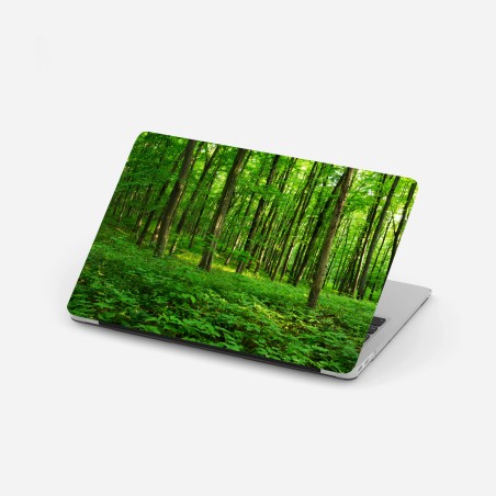 Laptop-Aufkleber sonniger grüner wald im frühling – Pixers®