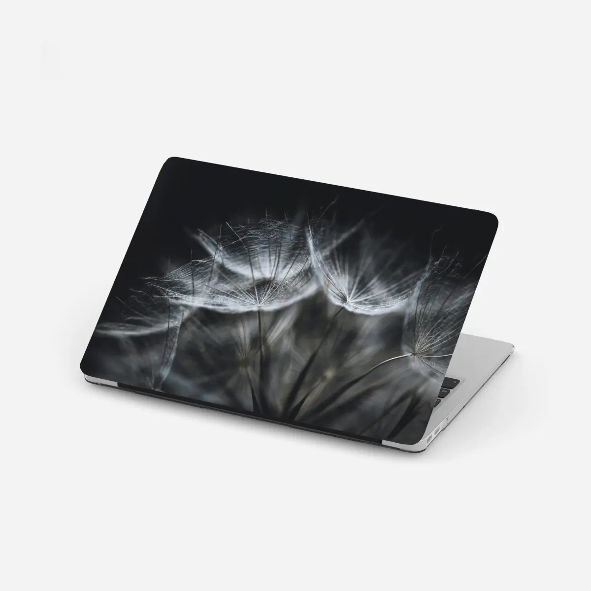 Laptop-Aufkleber zarte löwenzahnsamen in monochrom – Pixers®